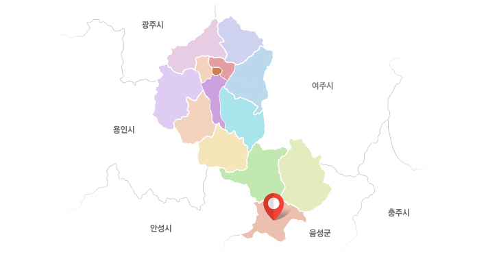 율면